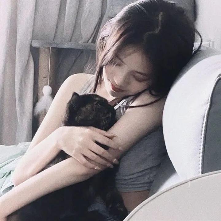 尚岷与丁尼奥